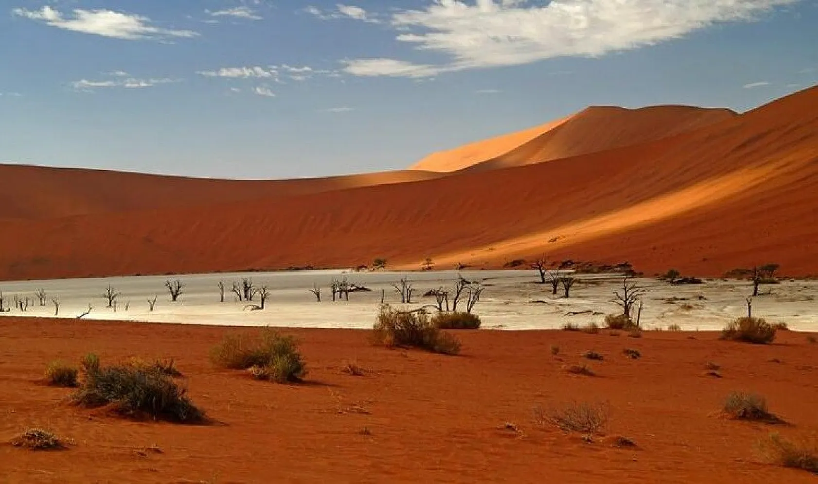 Bilim insanlarından ilginç bilgiler, 1939'da keşfedilmişti, sonunda sırrı çözüldü