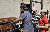 Elazığ Tarım Müdürlüğü Karakoçan'da Numune ve Kontrol Çalışması Başlattı!
