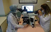 Hepatit C Artık Tedavi Edilebiliyor! Uzmanlardan Önemli Açıklama!