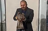 Yaralı kartal koruma altına alındı!