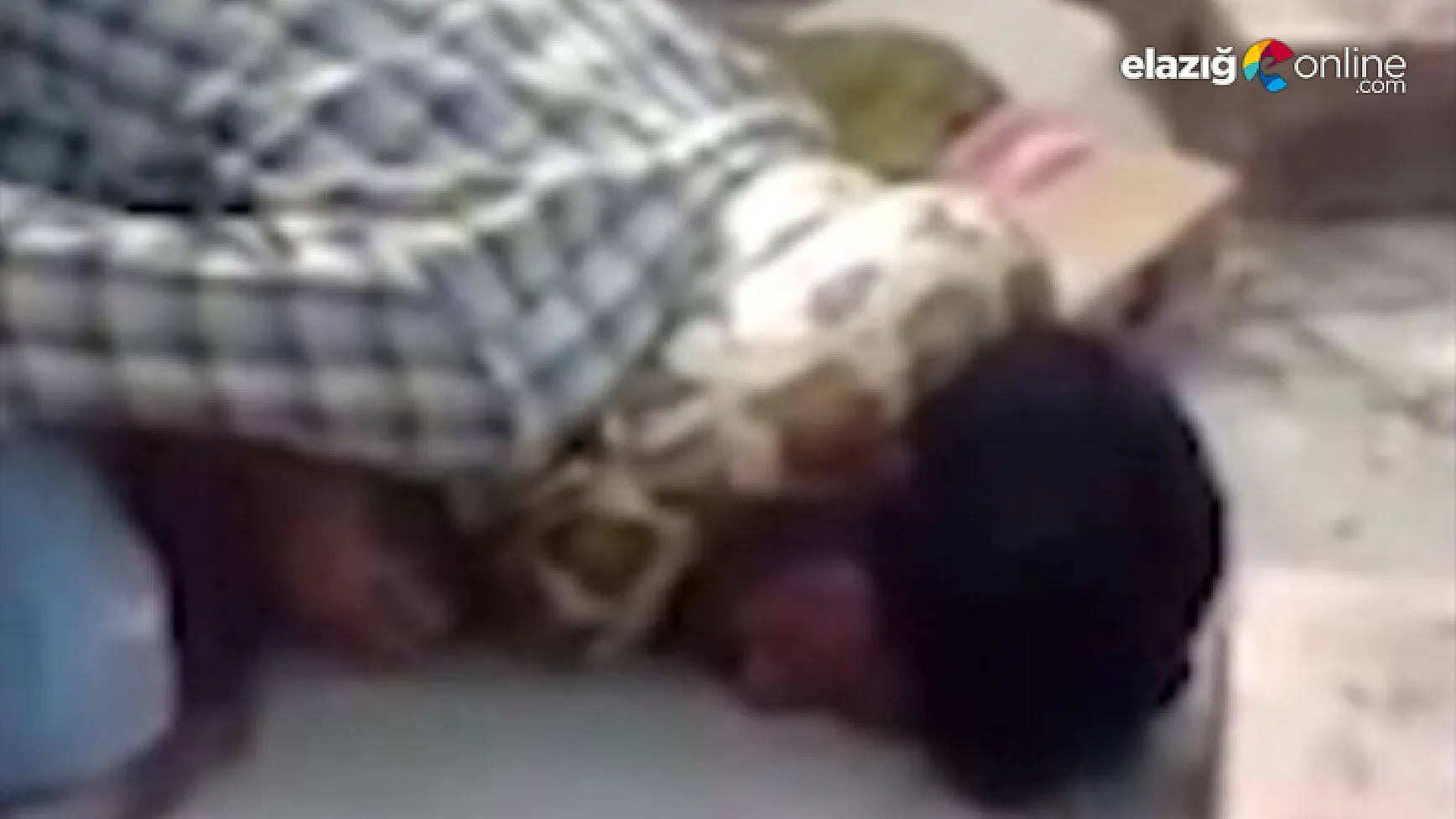 Dev piton sahibini herkesin gözü önünde boğdu!