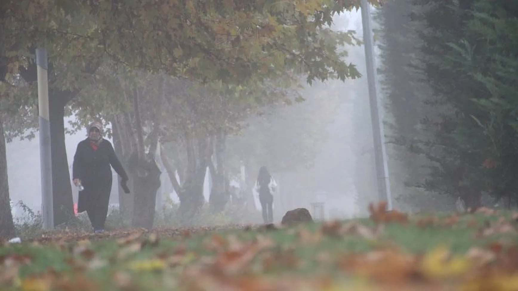 Elazığ'da sis ile sonbaharın buluşması doyumsuz, keyifli görüntüler oluşturdu