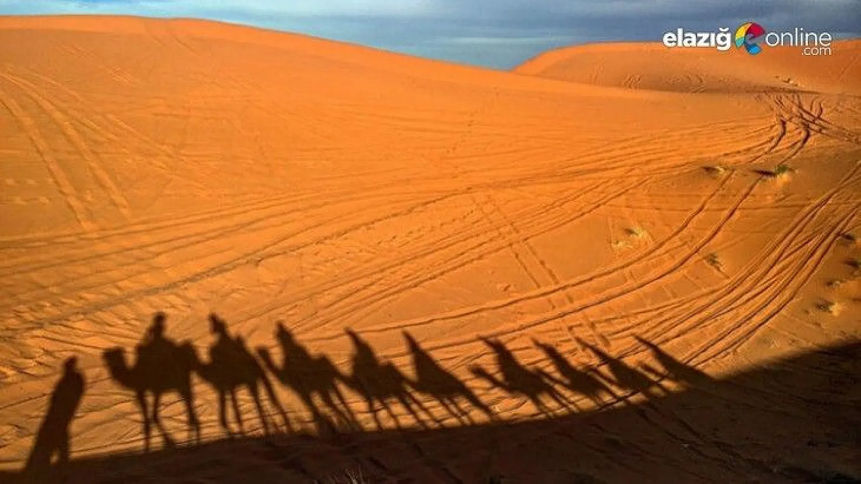 İnanılmaz ama gerçek! Bu çöl bir zamanlar en büyük ormandı