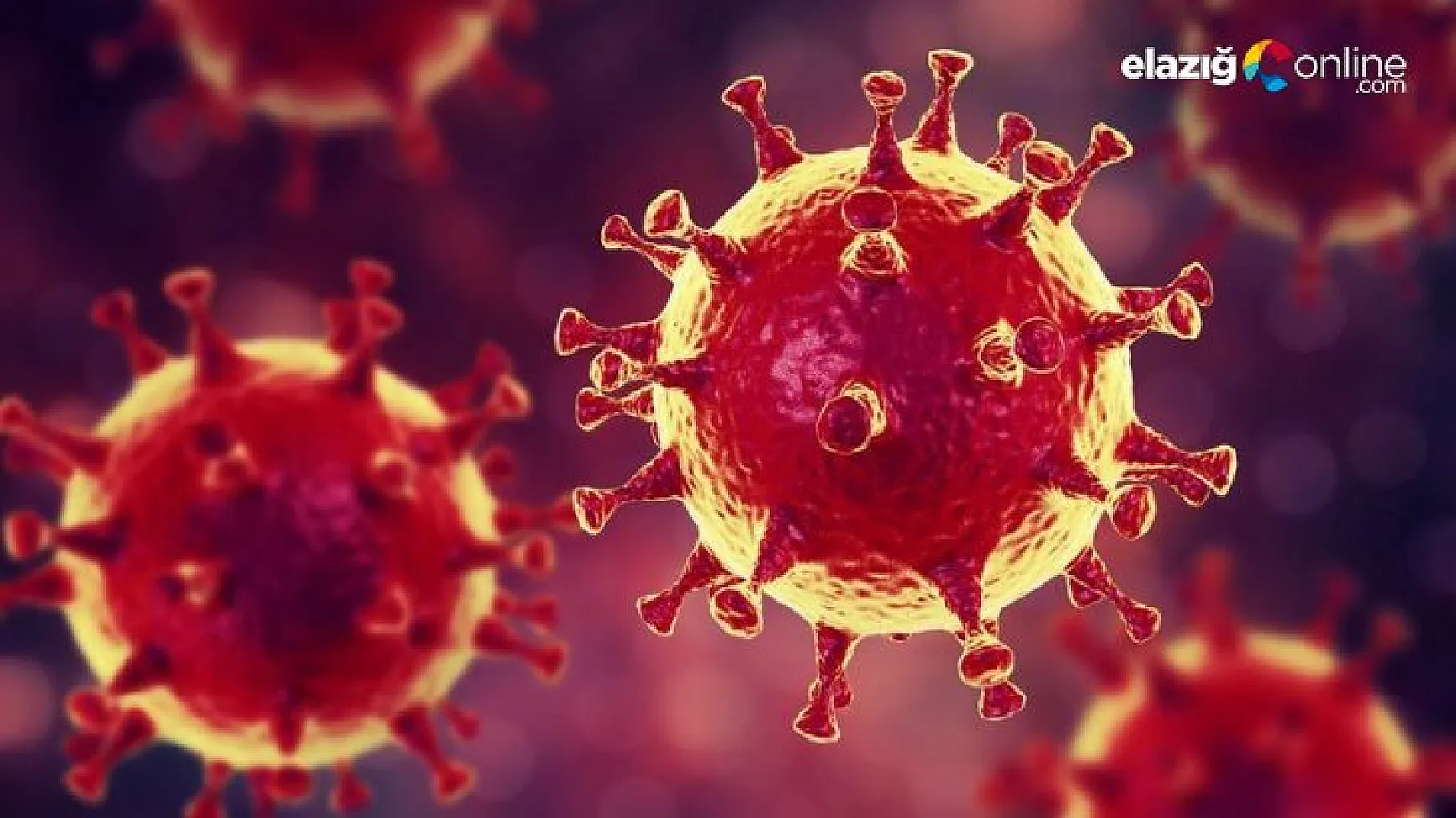 Yeni varyantın ismi açıklandı: Omicron