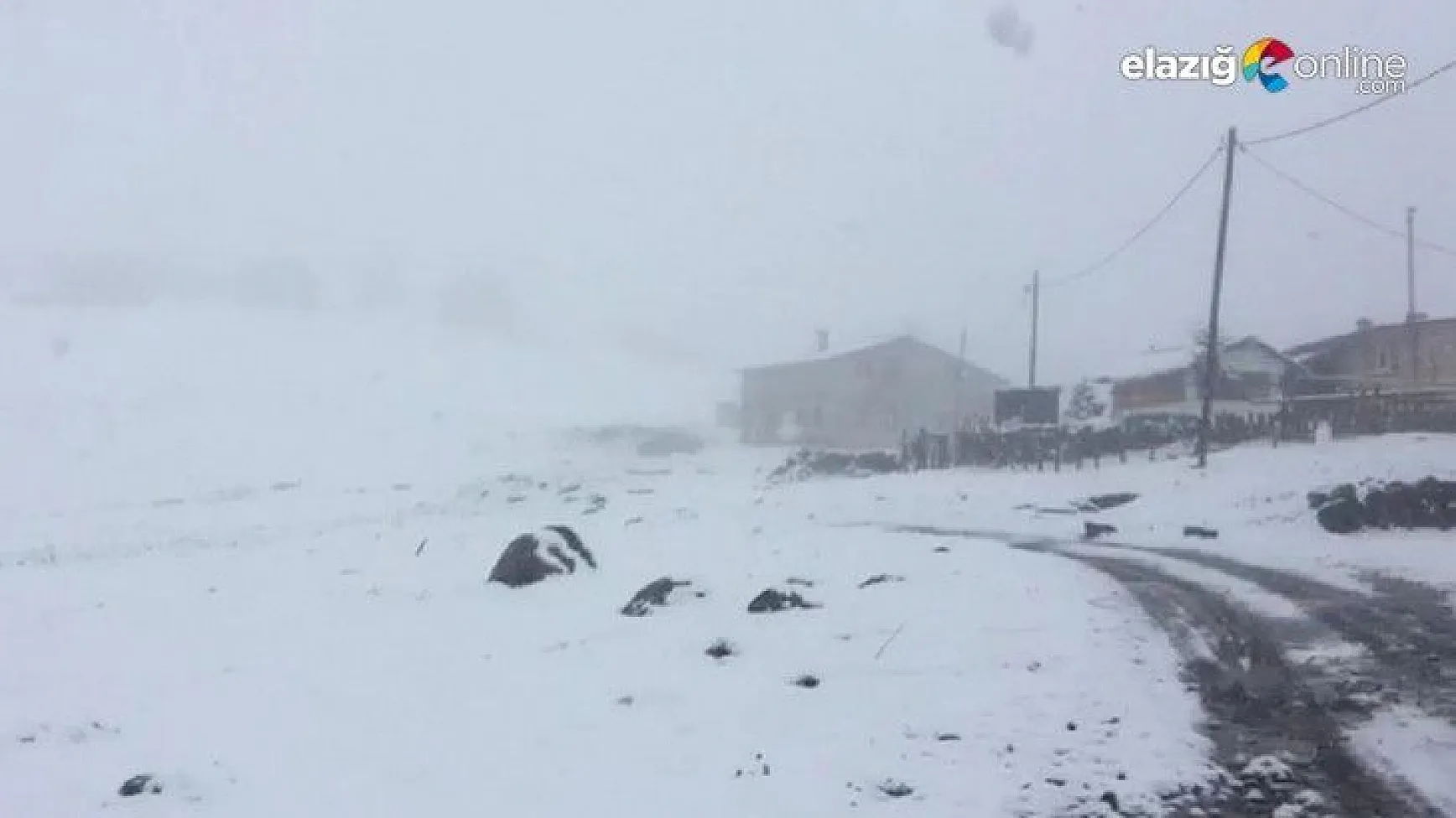 Mayıs'ta kar sürprizi!