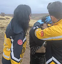 Karakoçan'da Yıldırım Dehşeti: Sürü Sahibinin Tam Yanına Düştü