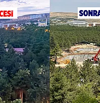 Türkiye Orman Yangınlarıyla Mücadele Ederken Elazığ'da Lojman için Ağaçlar Kesiliyor!