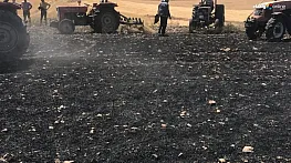 Biçerdöverden çıkan yangın 100 dönümlük buğday tarlasını küle çevirdi