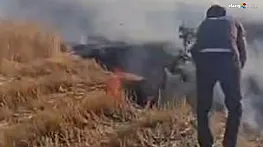 Diyarbakır'da 500 Dönüm Biçilmemiş Buğday ve Anız Küle Döndü!