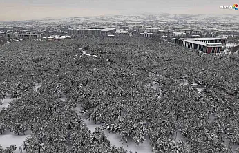 Binaların arasında saklı bir kış bahçesi: Beyaz esaret değil, beyaz zarafet!