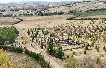 Fırat Üniversitesi'nden Minik Fidanlarla Büyük Mesaj: Barış ve İnsanlık için Etkinlik!