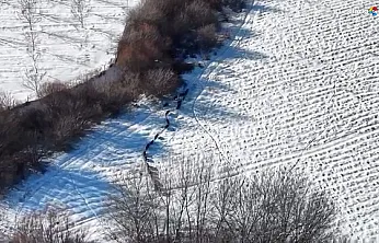 Yiyecek peşine düştüler, kameraya takıldılar! İşte Elazığ kırsalında görsel şölen