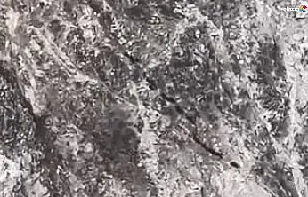 Kamerayı fark edince kaçtılar!