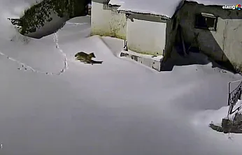 Baskilliler dikkat! Gece yarısı kapınızın önünde belirebilir