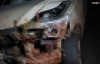 Yoldan Geçen Sürüye Kamyonet Çarptı: 30 Hayvan Telef Oldu!