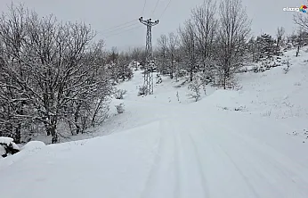 Elazığ'da beyaz alarm! 546 köyden 311'ine giriş çıkış yapılamıyor