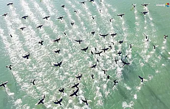 Elazığ Cip Barajı'nda görsel şölen: İşte karabatak sürüsünün masalsı görüntüleri