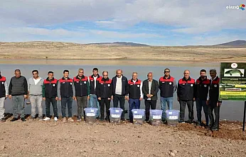 Elazığ'da Doğal Yaşama Destek: 11 Bin 800 Sazan Yavrusu Suyla Buluştu!
