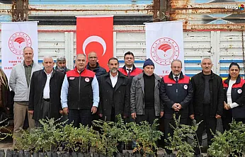 Tarım ve Orman Bakanlığı Elazığ'da Sumak Üretimini Destekliyor!