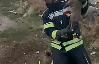 Köylüler fark etti, ekipler kurtardı