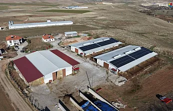 Hem et üretiyor hem elektrik: TKDK desteğiyle hayaller gerçek oldu!