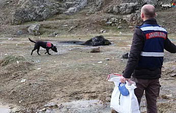 İbrahim dede her yerde aranıyor! Dronlar havada, dalgıçlar suda, 'Salkım' karada