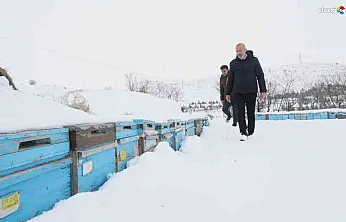 Böyle kışa can kurban! Elazığ'da kar, bal rekoltesine göz kırptı