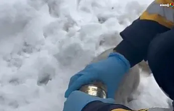 Sadece insan değil, her can onlara emanet! Sağlıkçılardan kalpleri ısıtan müdahale!