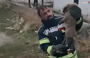 Köylüler fark etti, ekipler kurtardı