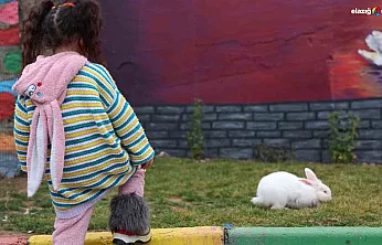 Elazığ'da uygulandı, EuroPris 2025'te birincilik aldı