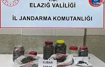 Jandarmanın hassas burnu 'Resim' affetmedi