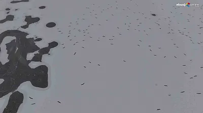 Termometreler çakıldı, Cip Barajı dondu: yürümek değil izlemek bile üşütüyor