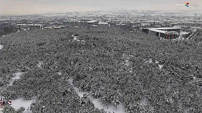 Binaların arasında saklı bir kış bahçesi: Beyaz esaret değil, beyaz zarafet!