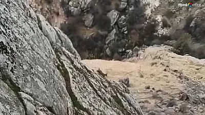 Doğaseverin objektifi Harput'un yaban hayatını kaydetti