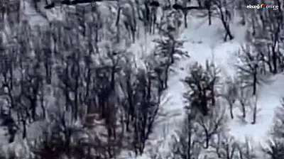 'Ordu geliyor!' Palu kırsalında vatandaşı hayrete düşüren görüntü