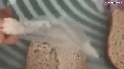 Elazığ'da gıda hijyeni yine gündemde: Ekmeğin içinden çıkan şok etti