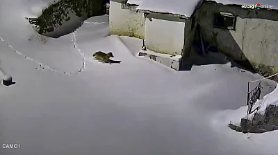 Baskilliler dikkat! Gece yarısı kapınızın önünde belirebilir