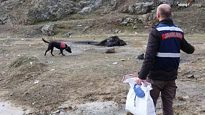 İbrahim dede her yerde aranıyor! Dronlar havada, dalgıçlar suda, 'Salkım' karada