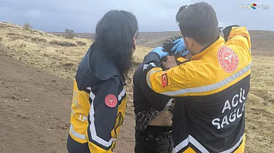 Karakoçan'da Yıldırım Dehşeti: Sürü Sahibinin Tam Yanına Düştü