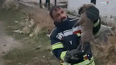 Köylüler fark etti, ekipler kurtardı