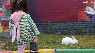 Elazığ'da uygulandı, EuroPris 2025'te birincilik aldı