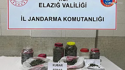 Jandarmanın hassas burnu 'Resim' affetmedi