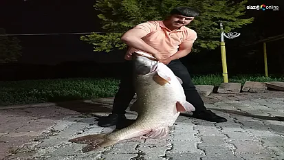 Elazığ Palu'da Sürpriz Av! Dev Turna Balığı Görenleri Hayrete Düşürdü!