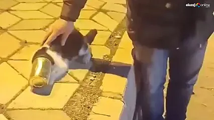 Vatandaşlar fark etti, felaketi önledi: Başı konserve kutusuna sıkışan kedi kurtarıldı