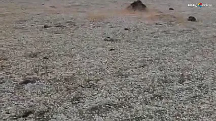 Ateşin Başında Otururken Yıldırım Düştü! O Anlar Kamerada!