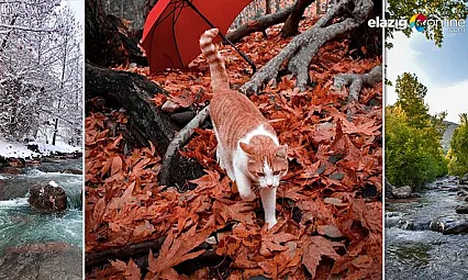 Mirvan Çayı, dört mevsim farklı güzelliğiyle göz kamaştırıyor