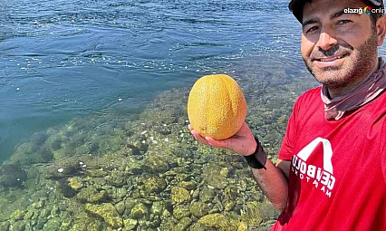 Bingöl'de doğa tutkunundan su altında meyve keyfi