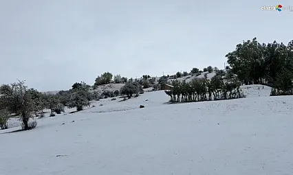Bingöl'ün yüksek kesimlerine mevsimin ilk karı yağdı