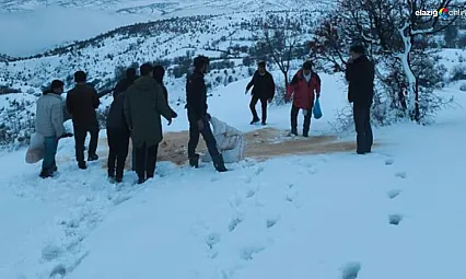 Elazığ Arıcak'ta yaban hayatına can suyu: Erbağ Köyü'nden alkışlanacak hareket