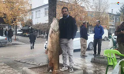 Palu'da sergilenen 60 kiloluk dev turnaya yoğun ilgi